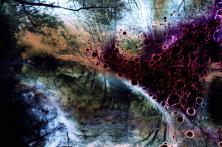 Illustration for article titled What Happens When You Soak a Negative In Gasoline and Set It on Fire